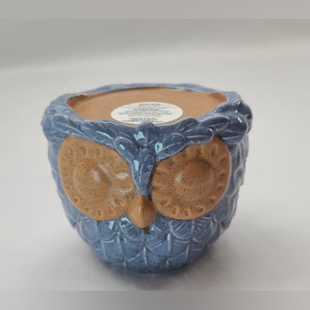 Blue Owl single wick candle holder